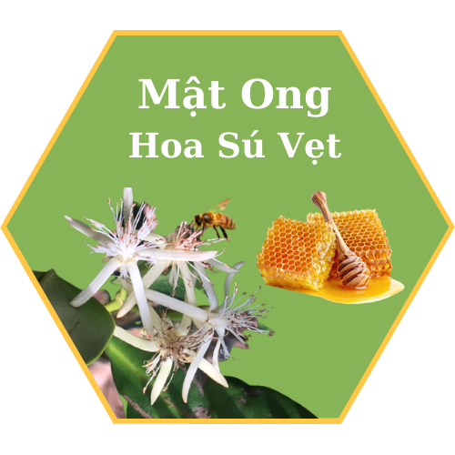Mật ong rừng ngập mặn - Mật ong hoa Sú Vẹt chai thủy tinh 500ml
